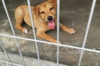 Pipi_QQ Shelter _1
