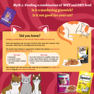 Myth 3 Feeding a combination of WET and DRY food. Is it a marketing gimmick?	