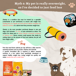 Myth 6 My pet is really overweight, so I’ve decided to just feed less