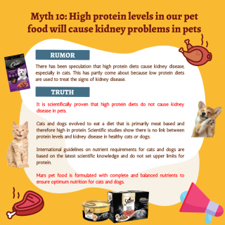 Myth 10 High protein levels in our pet food will cause kidney problems in pets
